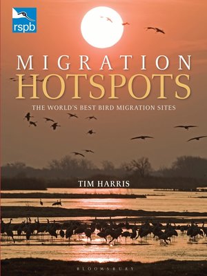 cover image of RSPB Migration Hotspots